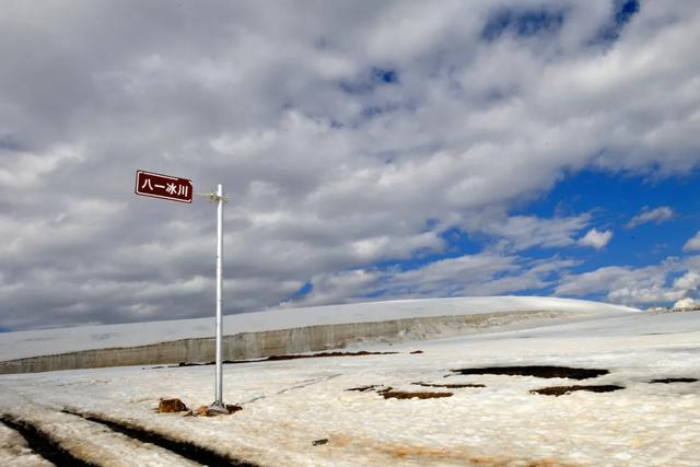 #青海#来看6月飞雪，过一个只有20℃的夏天，这里60000亩花海即将盛放！