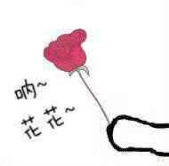 少年的你■《少年的你》：迟来的证明