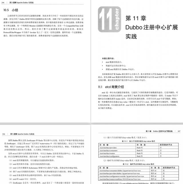 [阿里巴巴]阿里25岁P7专家，带你深入理解Apache Dubbo与实战PDF，活久见