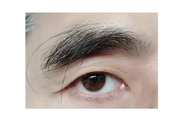 【长寿】俗语“眉上一根长，能抵万担粮”，眉毛决定寿命长短？告诉你大实话！