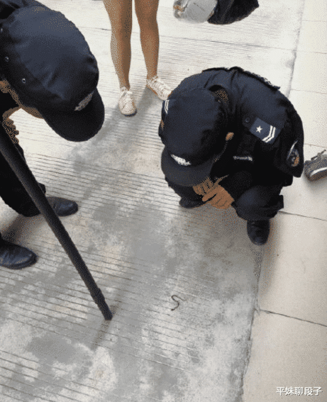 |“今天钓鱼不知道被啥给咬了，大家认识这玩意嘛？”哈哈哈不亏