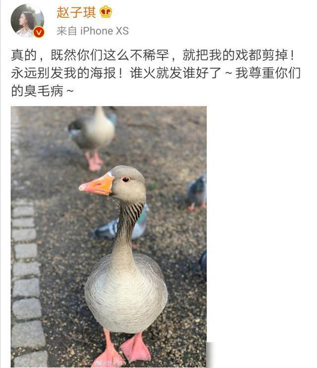 赵子琪：中年女演员下场撕番赢了，剧一播出就现原形，小透明本质并没有变