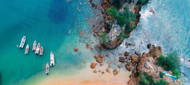 金牛座|10月底,情不老,天不荒,爱情如期而至,旧情人主动投入你怀抱