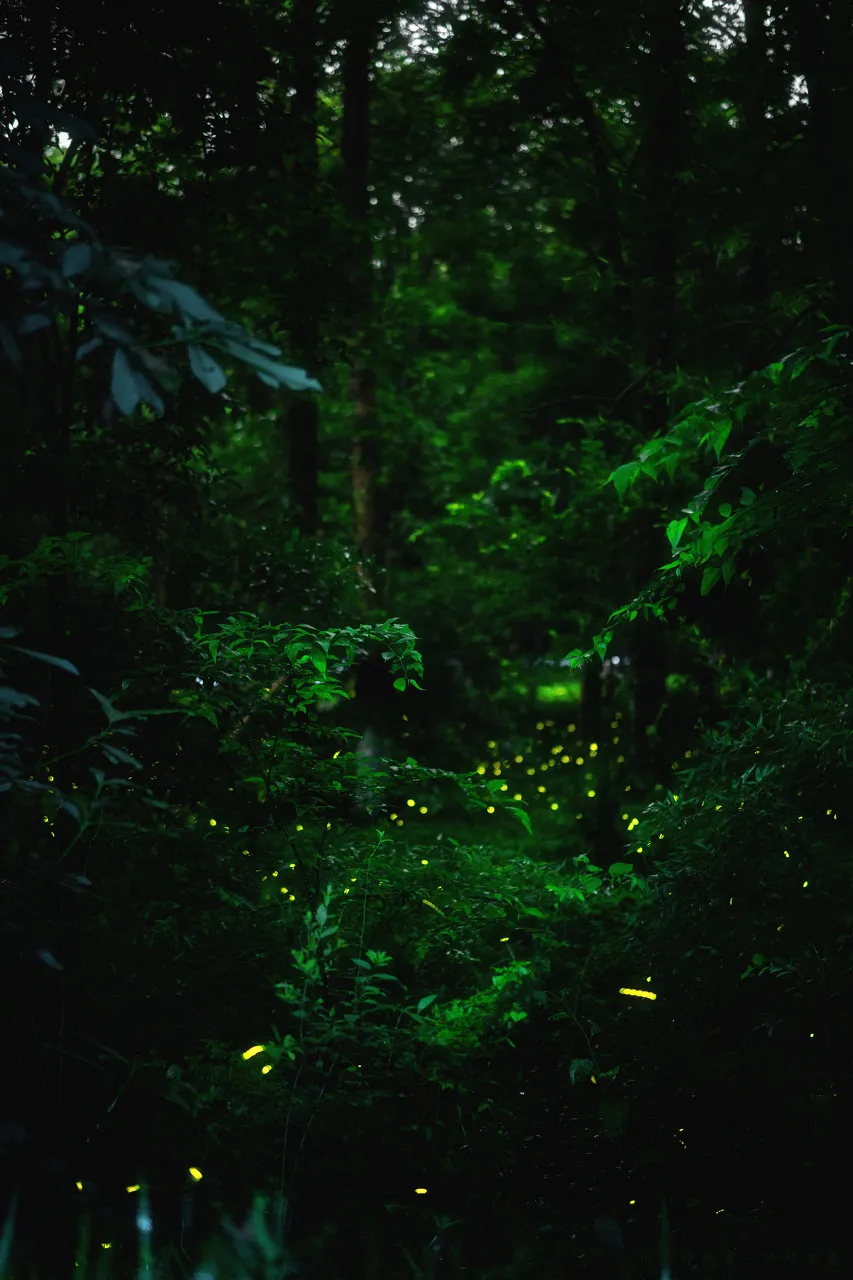 【旅行】攒钱也要去的10个地方，你去过几个？