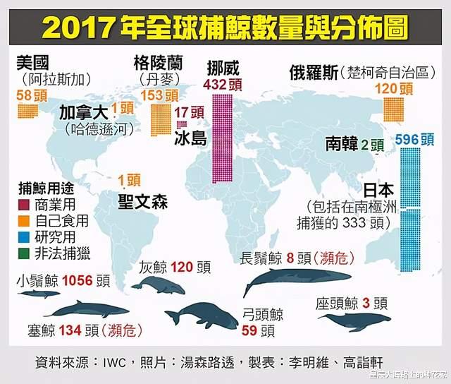 南极|消失了100年的蓝鲸，突然回到南极海域，这预示着什么？