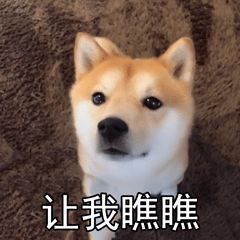 浙江省|太罕见！失踪135年，它重现浙江！