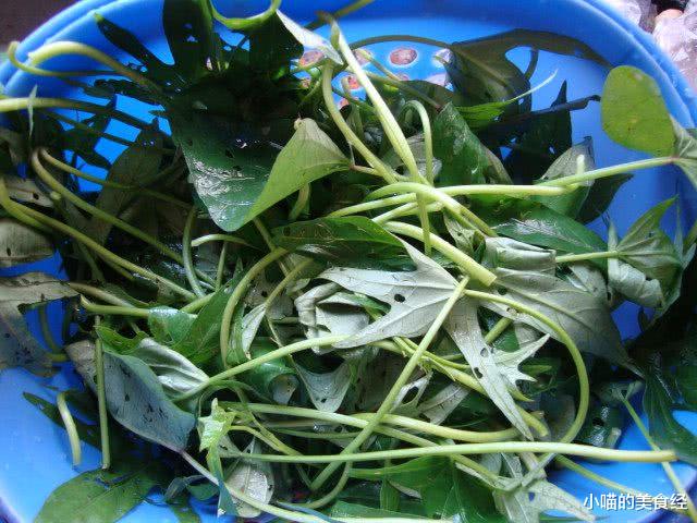 红薯▲它称“蔬菜皇后”，7块钱一斤，美味清爽，视力清晰，骨骼变强壮