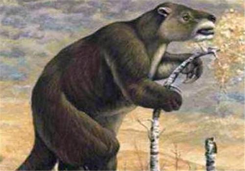 树懒@巴西发现一条1.3亿年前隧道，诡异无比，外国学者：不是人类建的