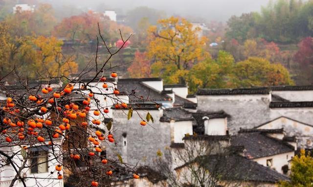 安徽|中国最诗意的地方，像是一幅绝美的画卷，此生必去