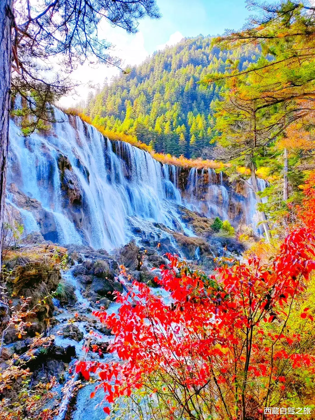 若尔盖|景 | 再过一个月，来看世间醉美的秋天！