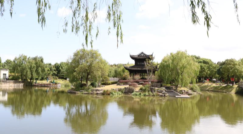 浦东发布 浦东有六个村被评为2020年度上海市美丽乡村示范村,你都去过吗?