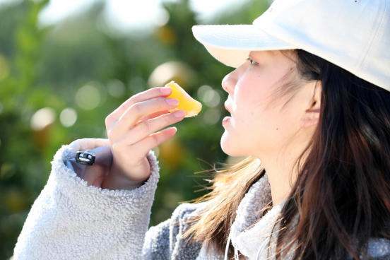 百姓生活湖南 衡阳市珠晖区：橘柚熟了 游客来了 果农笑了