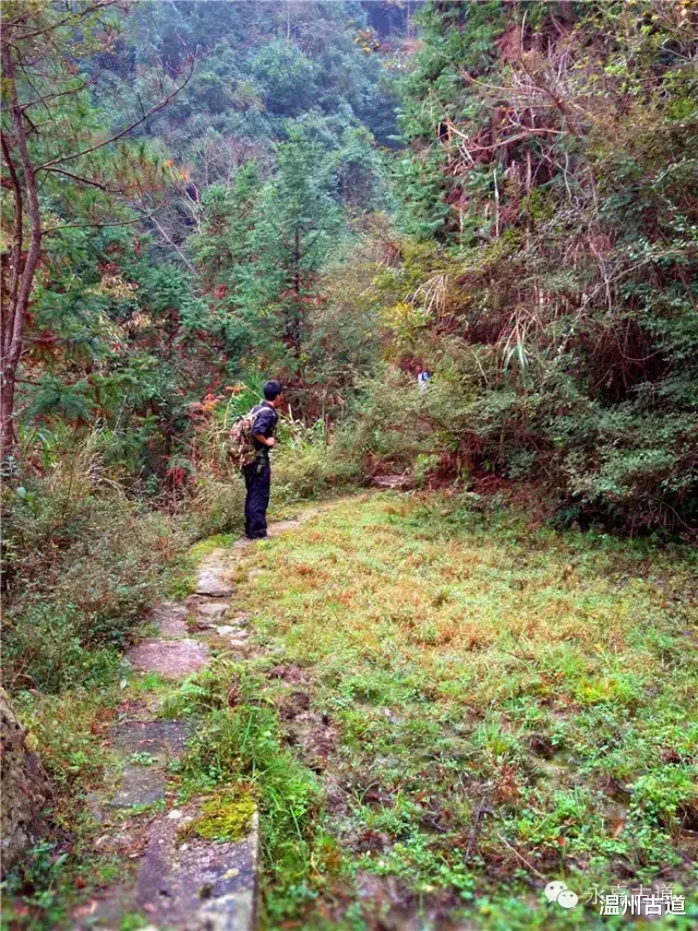 温州@温州铁坑古道，一条横亘于永嘉青田深峡的水瀑古道