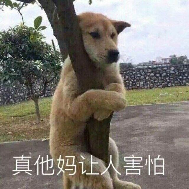 全球卖出6千万副的耳机,居然会爆炸