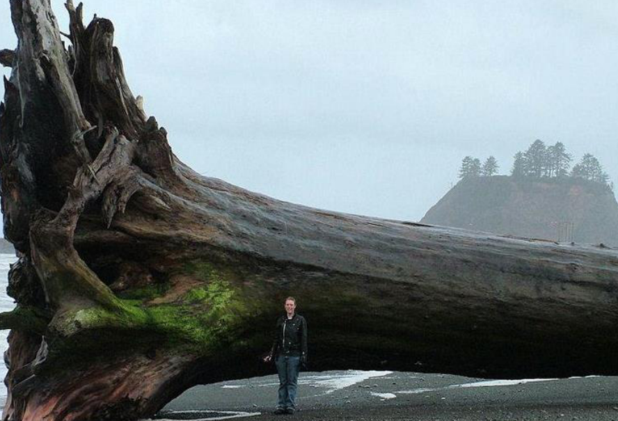 恐龙▲从恐龙时代活到现在，亥伯龙神用了2.4亿年，长到115米高