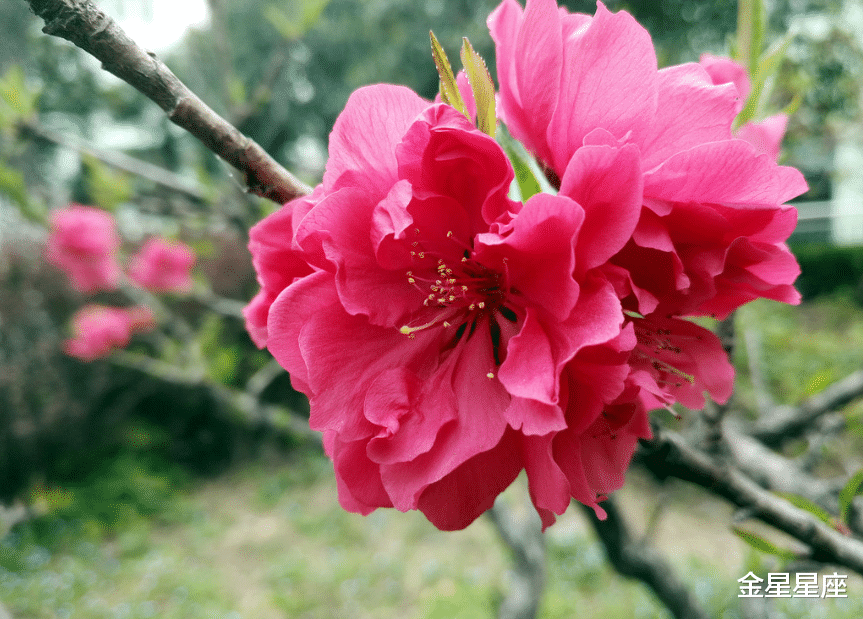 『运势』注意！先苦后甜，6月19号金玉满堂翻身做土豪的3大生肖，好运连连