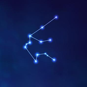 属鸡▲感情里最愿意付出的星座女