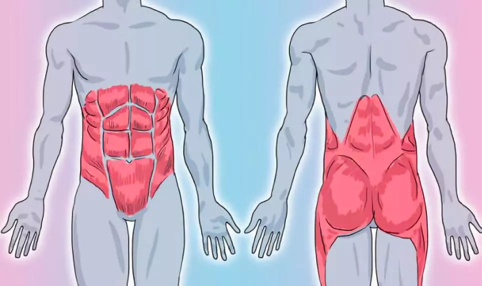 #隔离#平板撑究竟是在练什么呢？