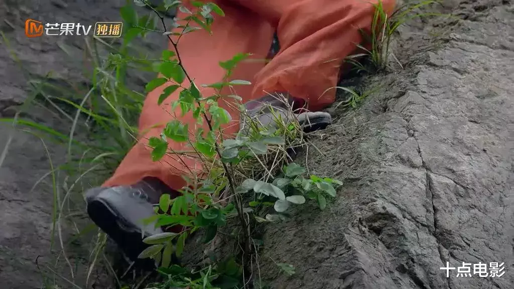 清宫剧|首播破亿、尬到断气！国产烂剧又让我智熄了