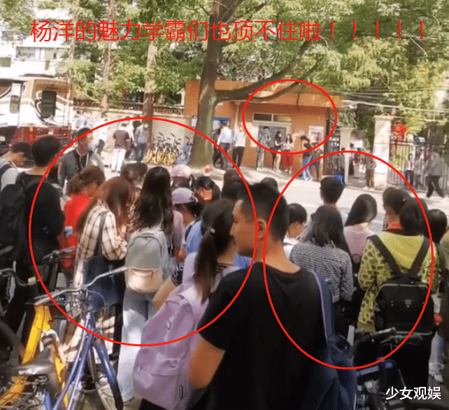 杨洋|杨洋来到复旦大学，学霸随手拍生图被传后，“生图如精修”没跑了