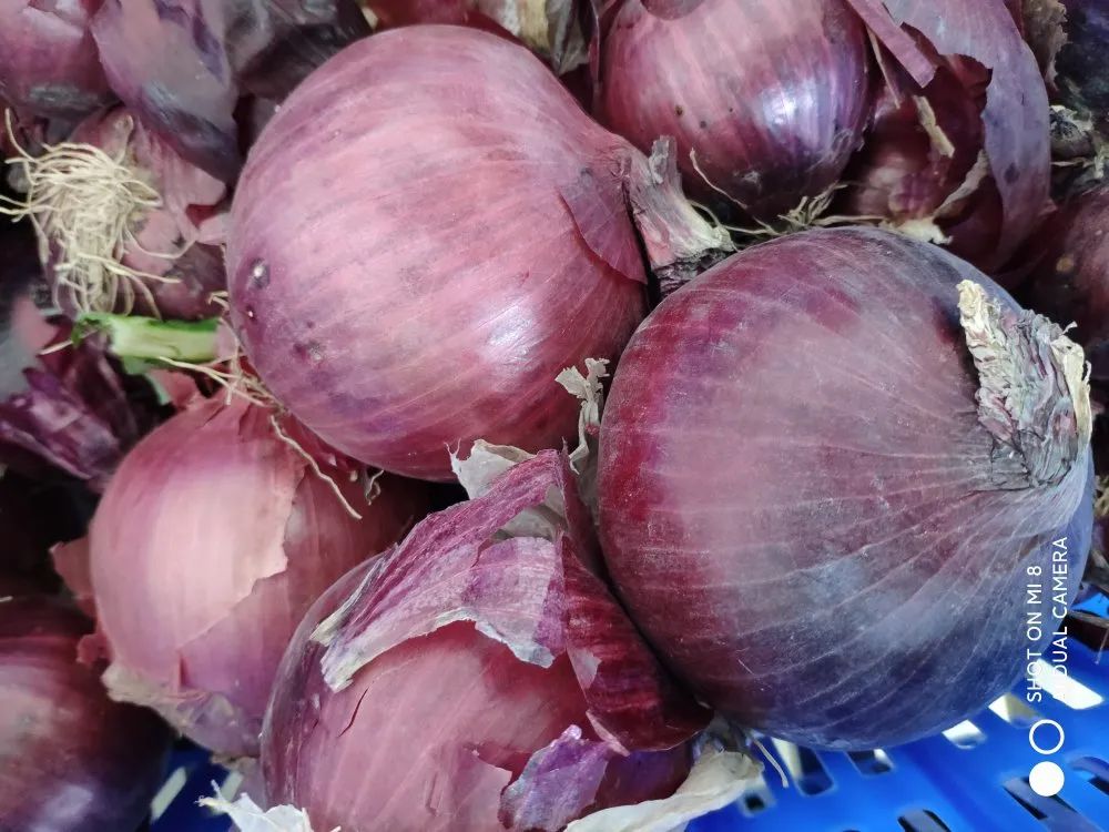 南阳|别人家孩子的学校：南阳五中八全校区餐厅曝光！