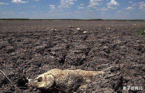 晋惠帝|古代饥荒，河流里鱼虾那么多，为啥人们不捕鱼虾吃？