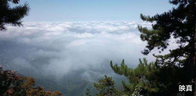 映真|终南山侯大师：隐居30年住毛坯房、吃清水煮菜，现在家人认不出