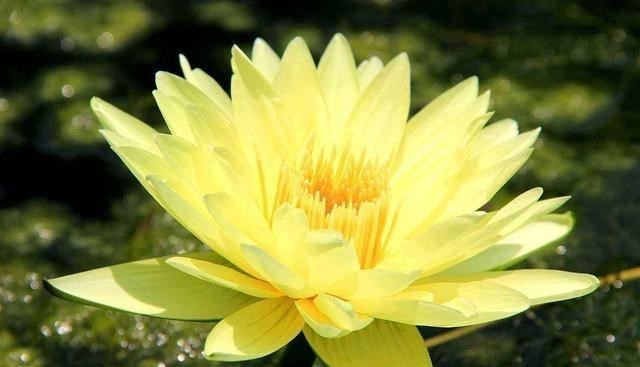 广东省|告别夏天！广东最值得打卡的五大旅行地！这个夏天，我偏要凉爽！