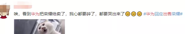 孟晚舟|任正非抛出“弃子”，孟晚舟案再出阴谋：不认命，就是最有力的反击