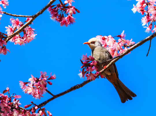 |7月底财运转旺，4属相横财天降，富贵袭来，事业生活双双顺利