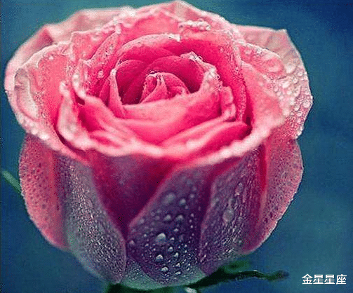 【生肖】3生肖最近十天喜事轮番来，贵人指点，生意兴隆，八方进财！