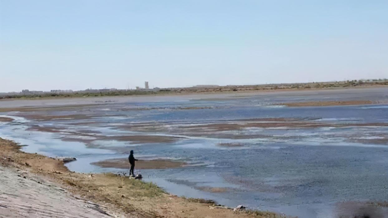 初冬|初冬野钓，这几种情况，钓浅比钓深的鱼口更多