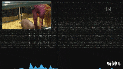 伊隆·马斯克|马斯克用活猪演示“脑机接口” 网友：科幻片要照进现实了！