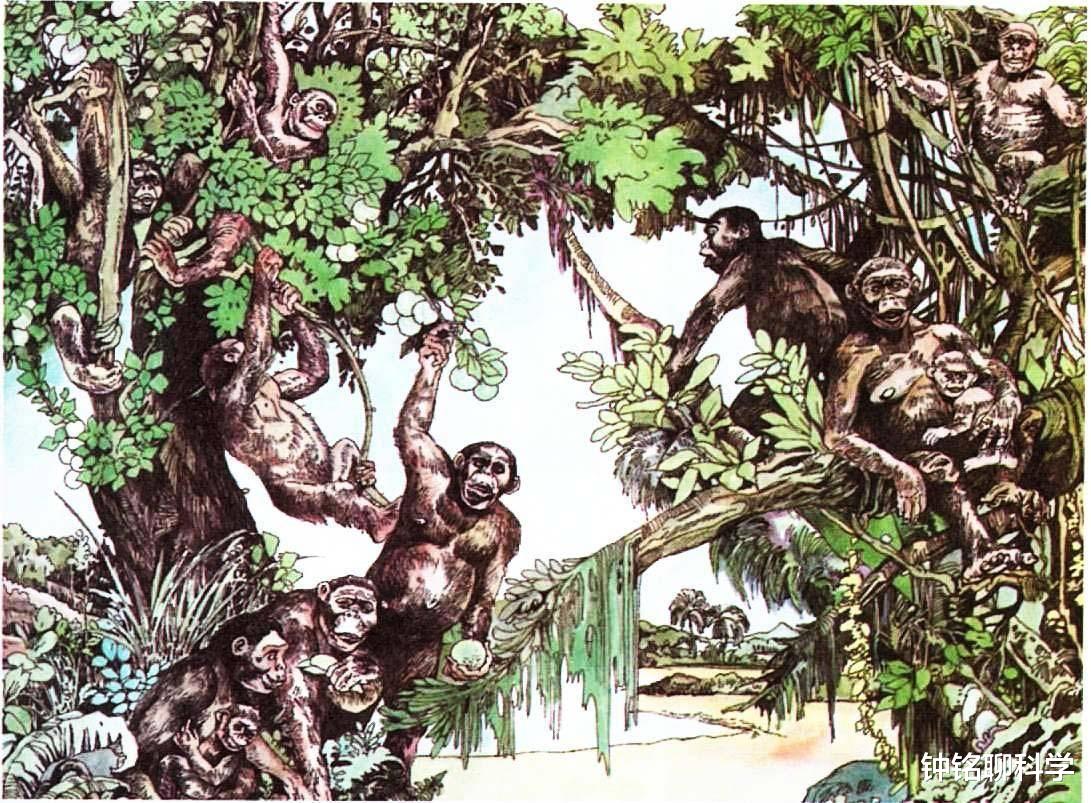 |为什么人类只吃食草动物，而不吃食肉动物？是不好吃吗？