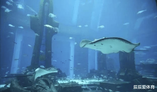 『水底奥秘』日本海底发现水下城市，专家表示，终于找到了失落千万年的古城