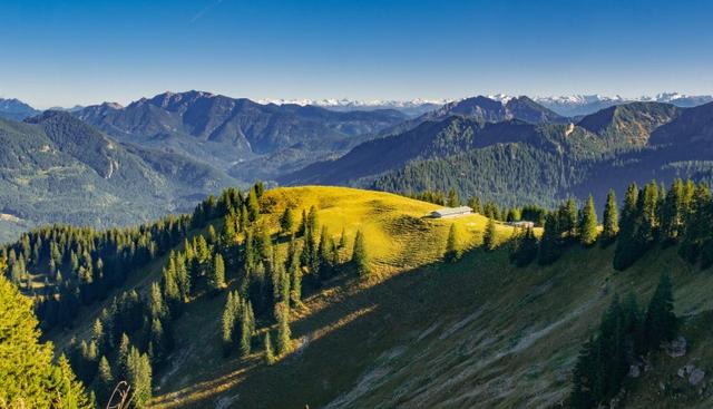 「生肖」6月起，事业枯木逢春，生活蒸蒸日上，3生肖财运旺达，万事顺心