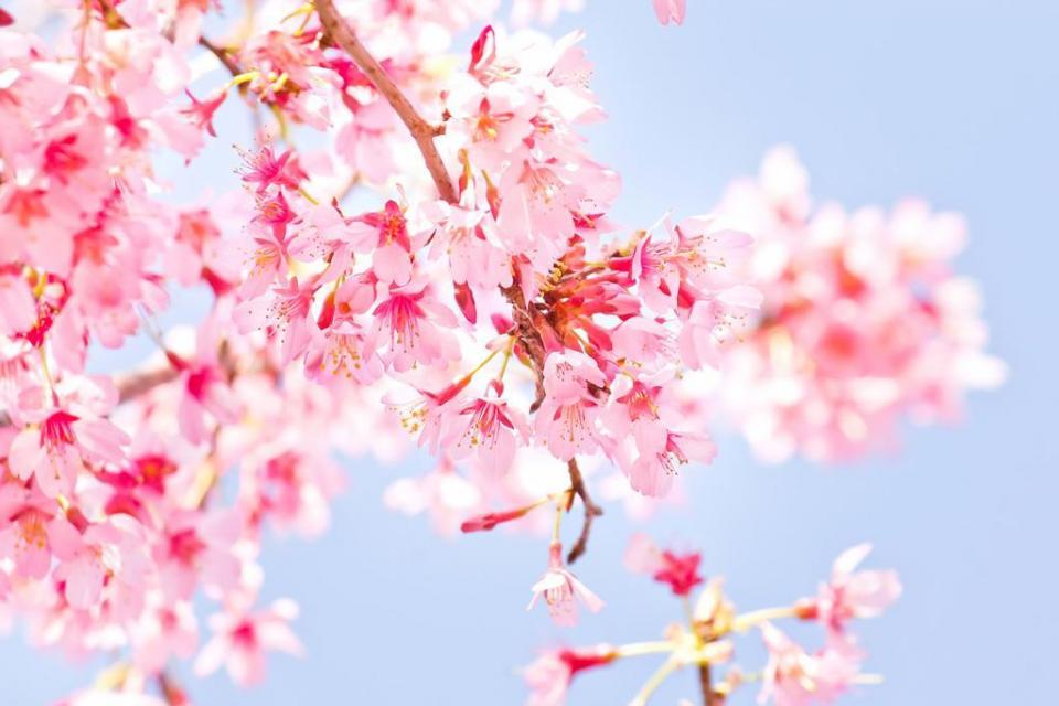 天蝎座|吸引力很强，但却会让人不敢靠近的星座女，只可远观，不可亵玩