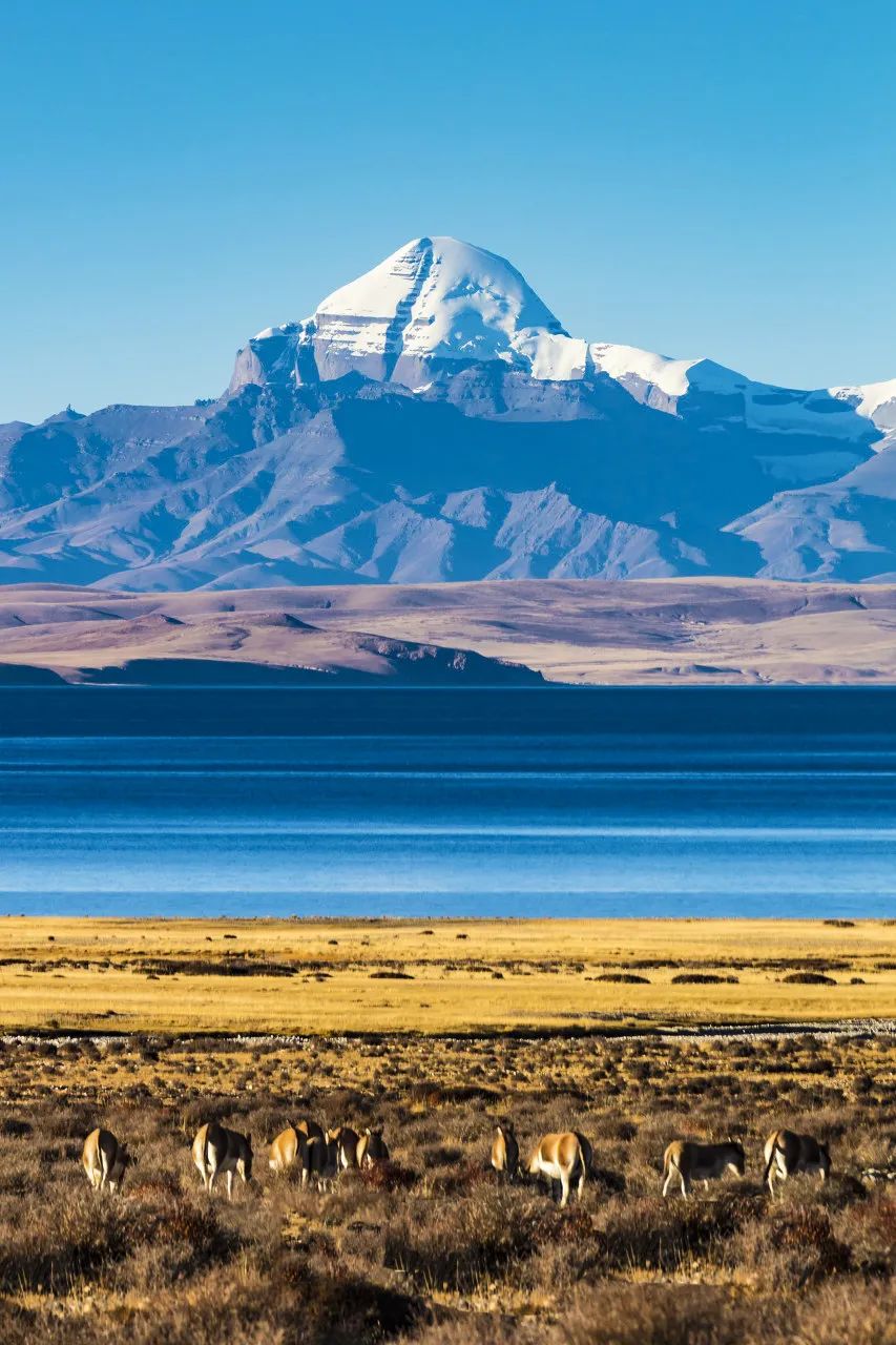 旅行|跨省旅游恢复!这些现有确诊为零的神仙省份,趁着人少赶紧去!思鹿旅行推荐