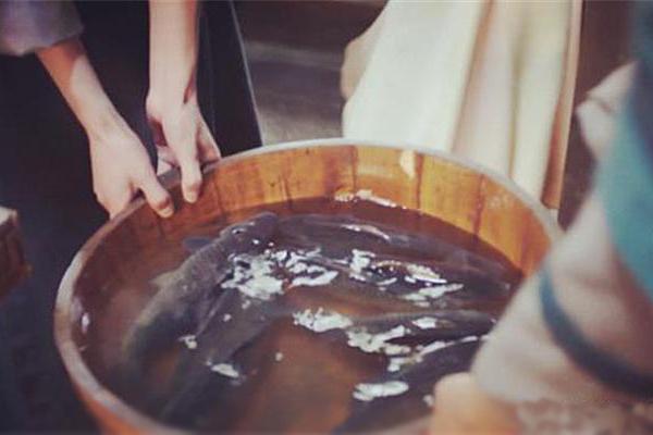 『朱元璋』刘伯温送朱元璋一缸鱼后去世，17年后，朱元璋才明白刘伯温的用意