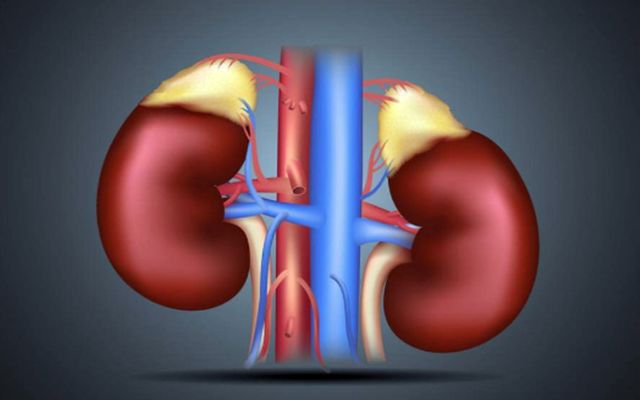 肝脏|肾不好的人，脚上会有3个“症状”，若你没有，肾病或许悄悄好转