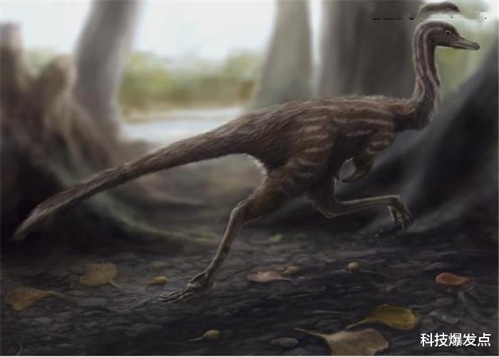 重庆|重庆公园发现“巨型鸡爪印记”，科学家深入调查，真相被解开！