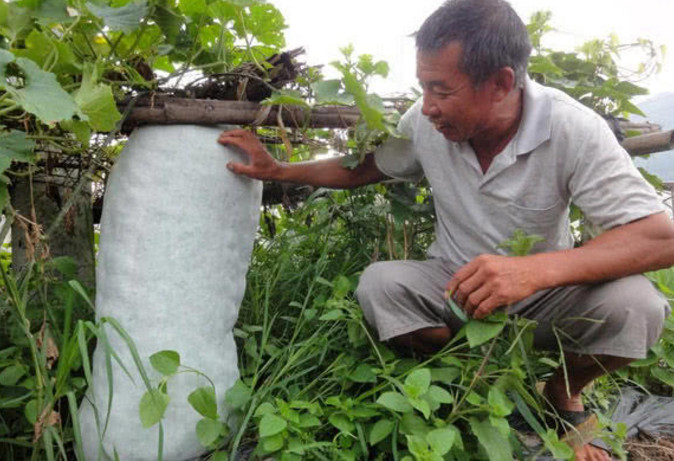 「红豆」湿气见它“掉头走”,有湿气的人不要错过了