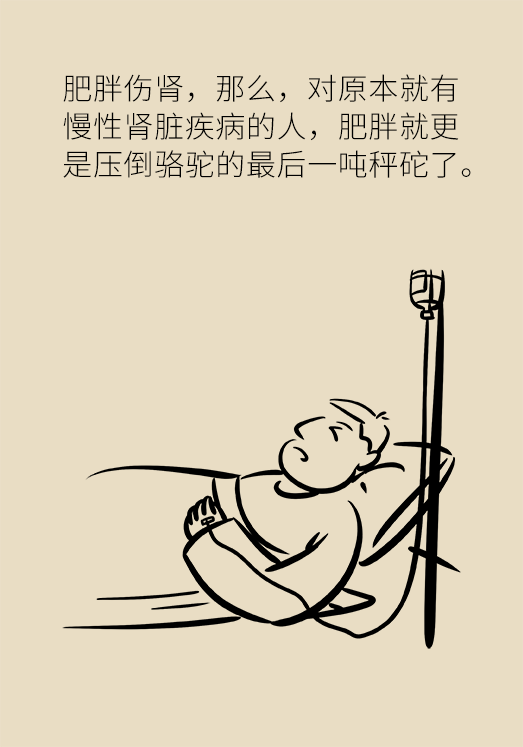欧莱雅|肥胖居然还伤这个器官？这回真的不得不减肥了！