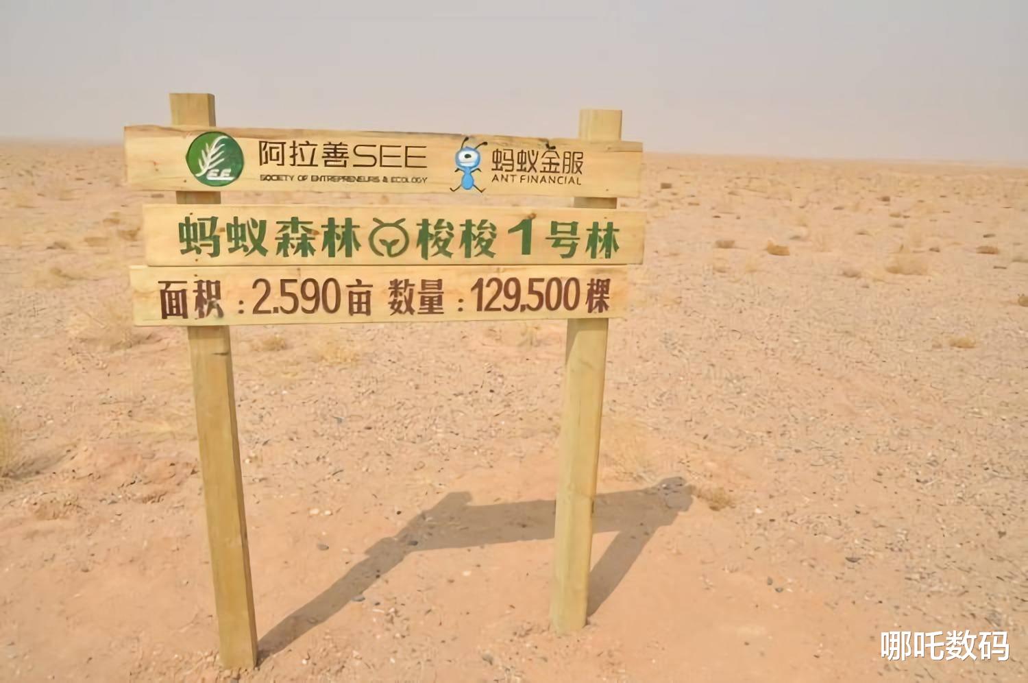 蚂蚁森林|支付宝耗时4年打造的蚂蚁森林，卫星图曝光真模样，现状让人泪目