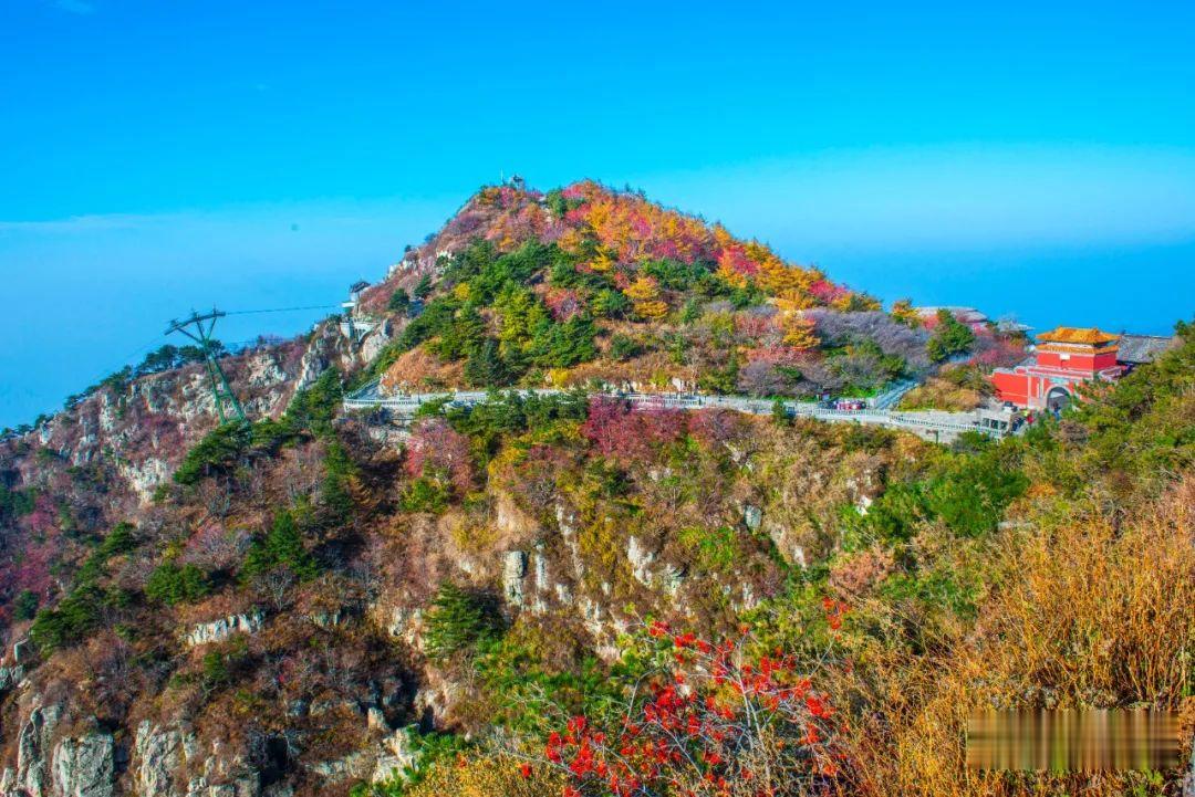 |有此美景 何必远行