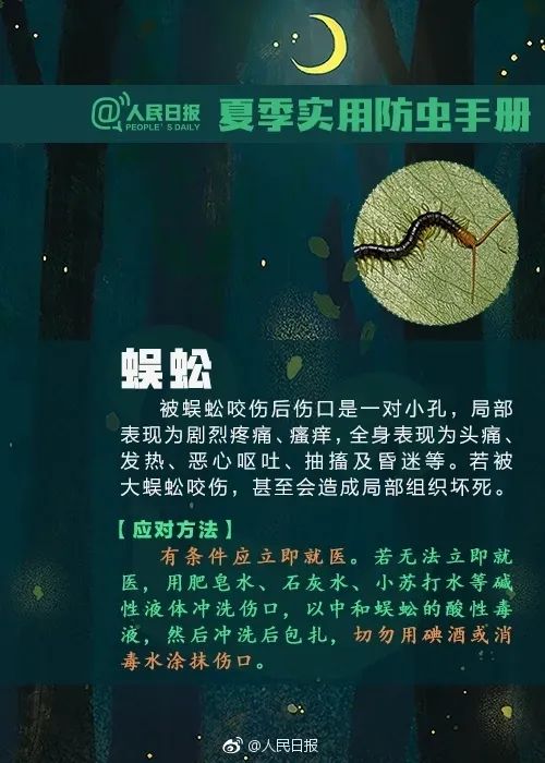 [肺炎]发烧半月还出现“大白肺”！新冠肺炎？起因竟是一只小虫子