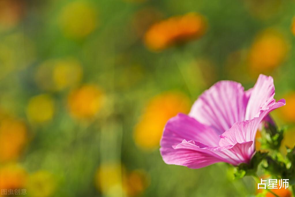 运势|（周运）玛法达_8月13日至19日星座运势：硝烟迷离，解铃有谱