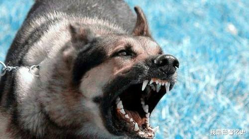 #狂犬病#在古代得了狂犬病怎么办?方法虽然吓人,但却非常有效