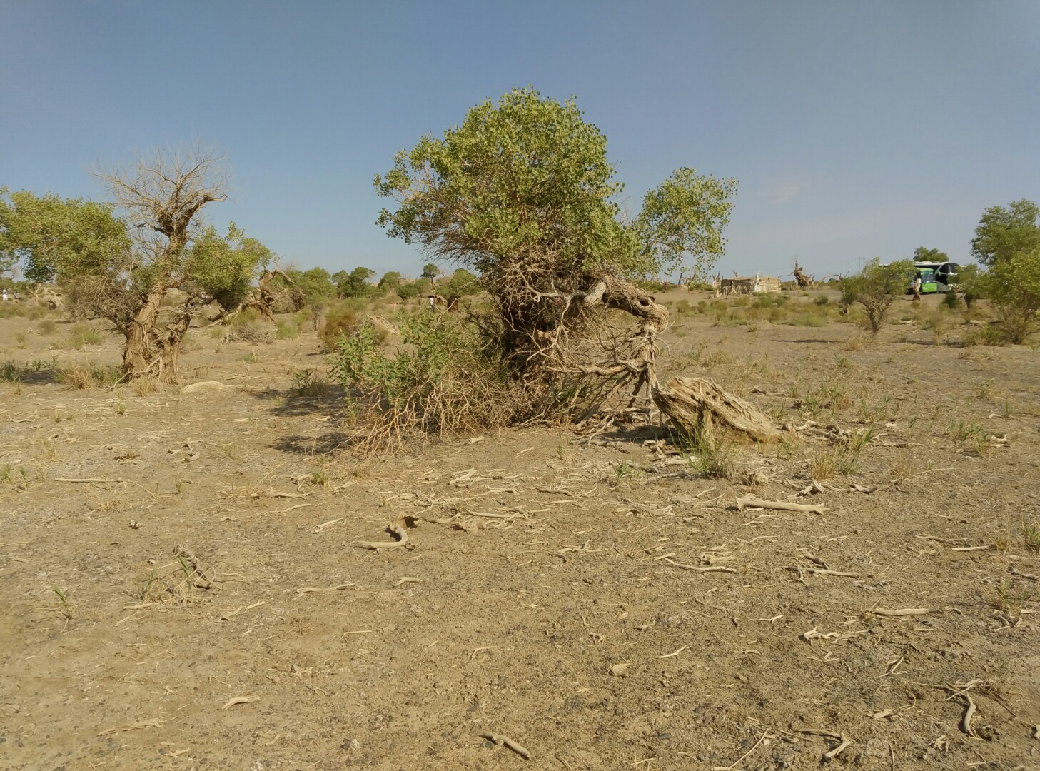 「医药板块」最强的还是一一一医药板块
