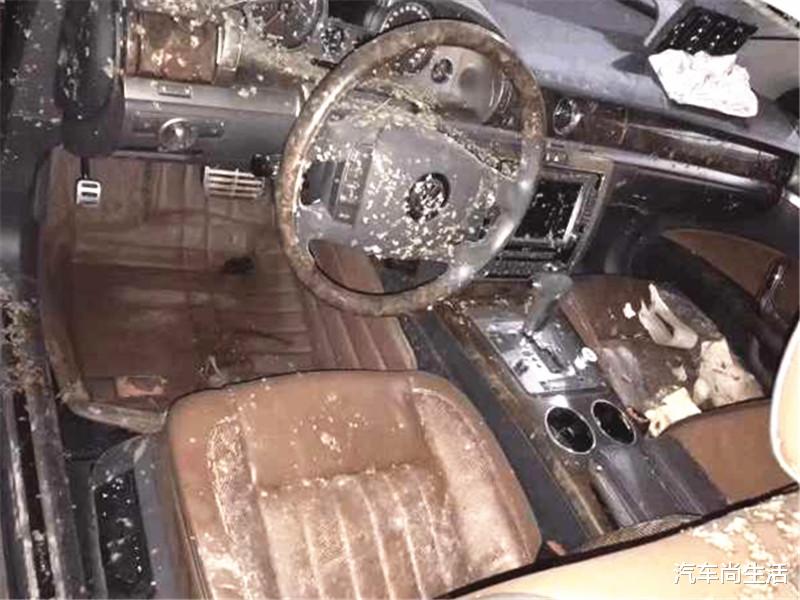 [豪车]小伙15万买泡水大众辉腾，维修工拆开检查后：这运气咋不去买彩票！